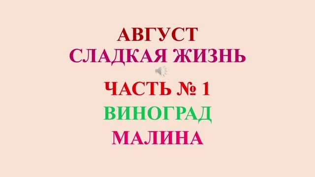 Август. Сладкая жизнь. Часть 1