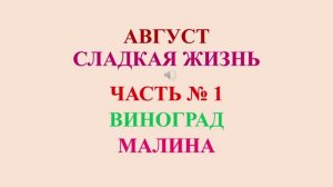 Август. Сладкая жизнь. Часть 1
