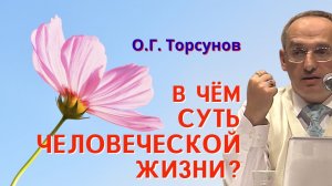 Я хорошо устроилась в этой жизни, но мне НЕ ХОРОШО, почему?! Торсунов О.Г.