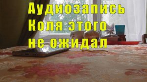 АУДИОЗАПИСЬ - КОЛЯ ЭТОГО НЕ ОЖИДАЛ  / со 02 по 05 августа 2026