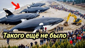 13-08-2026. ЧП❗КАТАКЛИЗМЫ❗КАТАСТРОФЫ‼️ ПРОИСШЕСТВИЯ ЗА ДЕНЬ. новости дня. СЕГОДНЯ. Россия США Китай