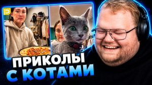 Т2х2 СМОТРИТ ▷ ОНА — ГЛАВНАЯ ГЕРОИНЯ // DAILY DOSE OF PETS