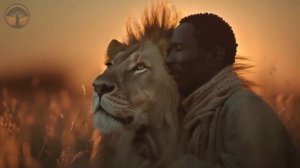 African Meditation Music // Африканская музыка для медитации