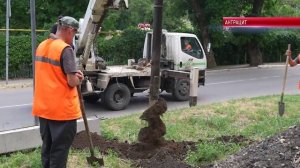 Коротко. БОЛЬШЕ СВЕТА