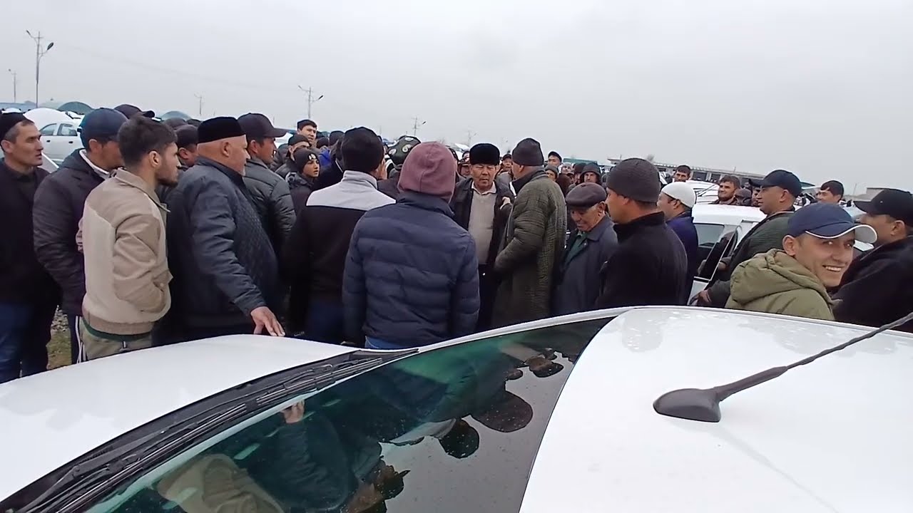 НАРХЛАР  ТУШАДИМИ ??  КОБАЛЬТ САВДО ЖАРОЙОНИ  СУРХОНДАРЁ  ДЕНОВ МАШИНА БОЗОРИ Narxlar Tushadi