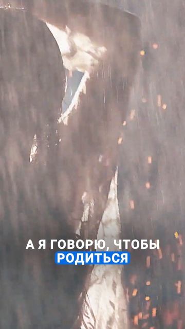 о духовном пути #жизнь #любовь #осознанность #психология