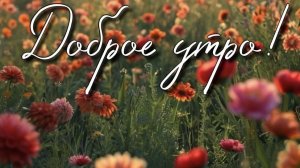 Доброе утро августа. Шикарная музыкальная открытка.