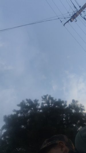 страдаем фигнёй
