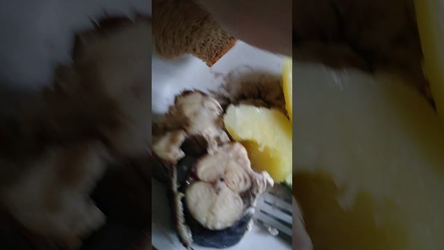 Скумбрия на пару  на завтрак