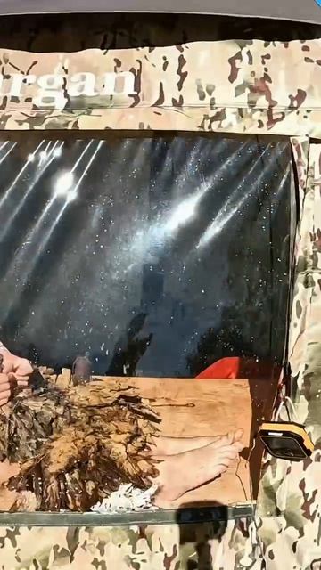 Как сделать так, чтобы на дачу хотели ехать даже дети? 😁