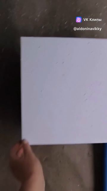 vkclips_20260813120636