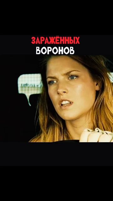 На них напала стая зараженных ворон 😱😱😨
