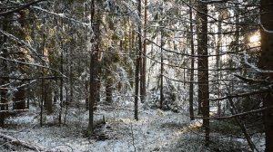 ЗИМОЙ В ДЕРЕВНЕ 2 СЕРИЯ