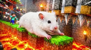 Хомяк попал в лабиринт Minecraft! 💕 Приключения Пушистика