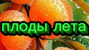 Что попробовать этим летом? Быстрый обзор