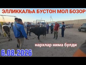 6 августа 2026 ЭЛЛИККАЛЬА БУСТОН МОЛ БОЗОР НАРХЛАРИ