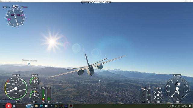 Microsoft Flight Simulator