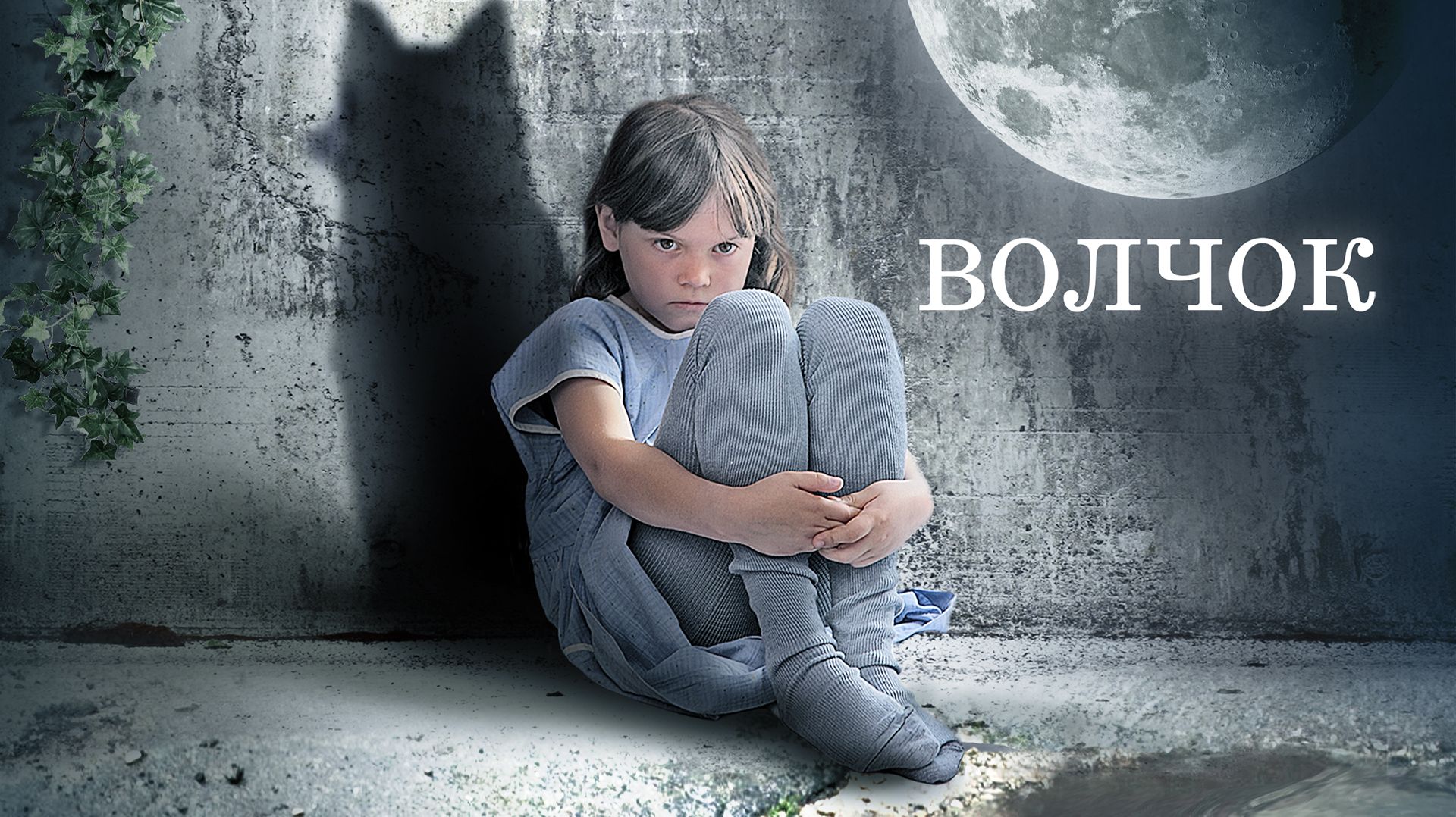 Волчок (2009)