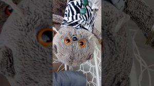 Влог вечер с басиками😅😅😅/Лили капризничает