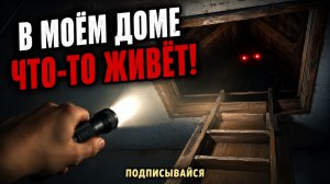 В моём доме что-то живёт!