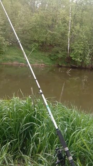 РЫБАЛКА МЫ СНОВА НА НОЛЬКЕ! РЕКА МАЛАЯ КОКШАГА! 17.05.2025 ГОДА! ЧАСТЬ-3 #fishing #рыбалка