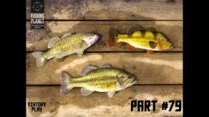 Fishing Planet ➤ Прохождение #79 Ловим уникальных Бассов Эверглейдс