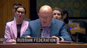 Постоянный представитель В.А.Небензя в СБ ООН по ситуации на Ближнем Востоке, 11 августа 2026