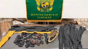 Больше 60 частей крокодила изъяли в аэропорту Шереметьево у пассажира из Китая