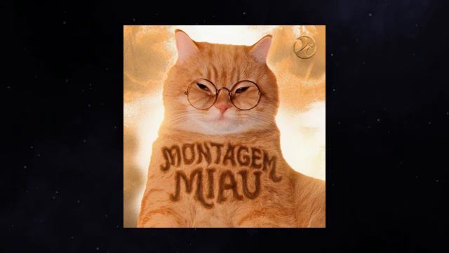 TOP 100 MOST VIRAL PHONKFUNK 2026 SONGS PLAYLIST