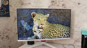Монитор ARDOR GAMING PORTAL AF24H1  / Лучший FULL HD Gaming Monitor
