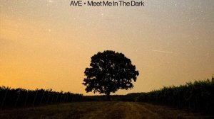 AVE - Meet Me In The Dark (Lyrics) (2026)
