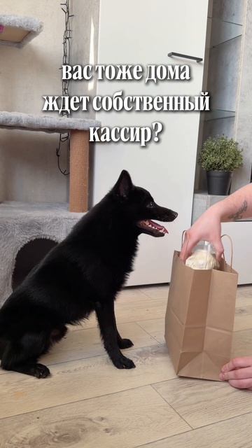 собственный кассир