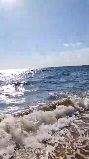 Утреннее Море , Россия 🇷🇺 Город Феодосия!!! Лето ☀️🌾🌴🌸🌺🌼💐🌊🚢 Год 2026