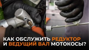 Смазка редуктора и вала мотокосы/триммера: продлеваем ресурс правильно