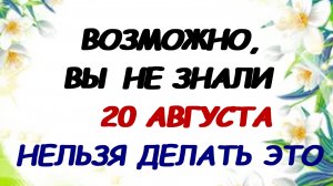 20 августа. День Марины-Пимены. Женщины просят аистов. Что нужно сделать