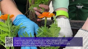 ДАЙДЖЕСТ «СЕВЕРНОГО ГОРОДА», 13.08.2026