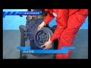 2 Разборка дизельного двигателя WP 12
