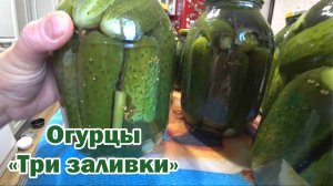 Маринованные огурцы «Три заливки»