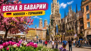 ⭐ Мюнхен, Германия 🇩🇪 Весенняя прогулка по столице Баварии — каким город выглядит в апреле | 4K