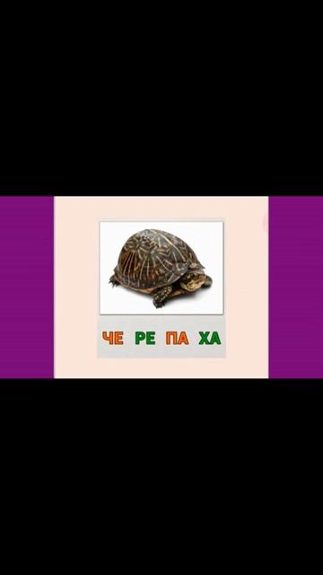 учим слоги