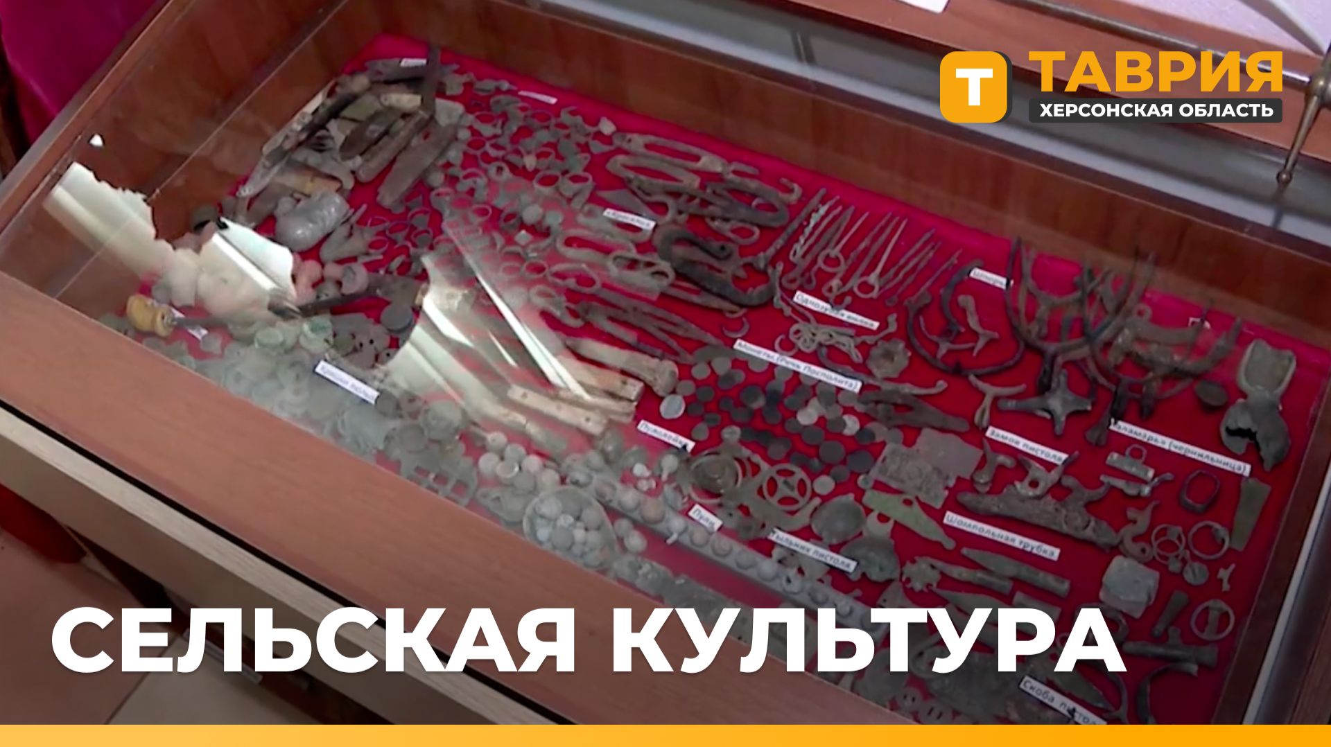 Елена Дмитрук посетила Григоровский Дом культуры и музей "Таврида"