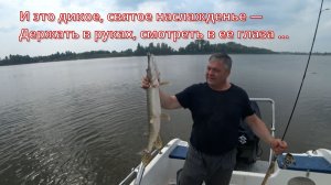 Рыбалка в Нижневартовске 01-02.08.2026г.