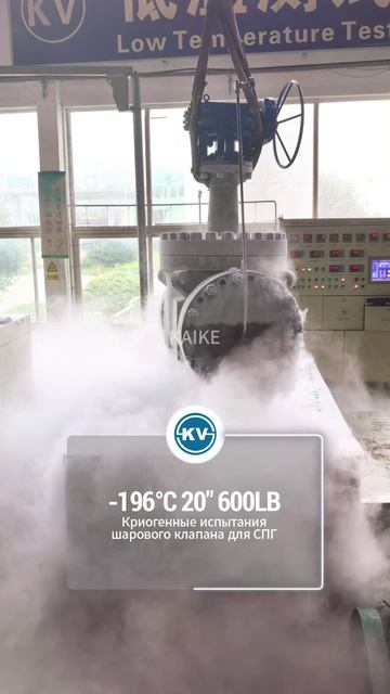 ~C95800 CLASS150 NPS12 Самодействующий регулирующи