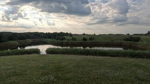 Барский пруд и лес