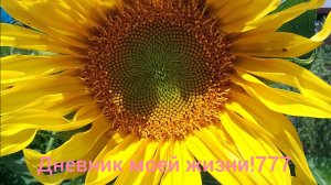 Утро на канале! 👍🚀🌹