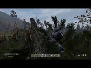 ВСС+гиль костюм.. страшная сила (Moments of DayZ)