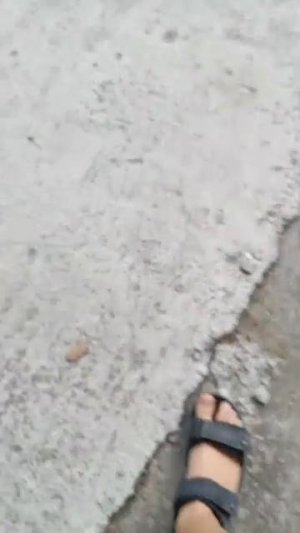 первое  трансляции