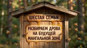 ШЕСТАЯ ПЧЕЛИНАЯ СЕМЬЯ И КУЧА ДРОВ НА МАНГАЛЬНОЙ ЗОНЕ. 2026-06-22 И 24