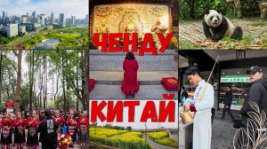Китай, Чэнду за 48 часов 🇨🇳: панды, рынок женихов и невест