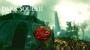 Сайлент Лес | Dark Souls 2: Scholar Of The First Sin #14